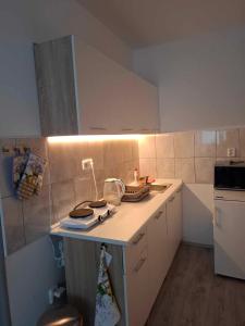 Kuchyň nebo kuchyňský kout v ubytování Apartmán U vody