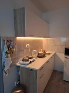 Kuchyň nebo kuchyňský kout v ubytování Apartmán U vody