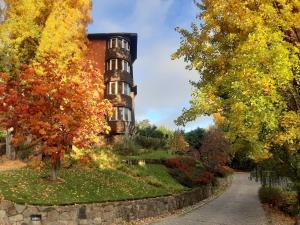 Um jardim em Design Suites Bariloche