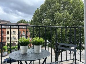 斯帕La Suite by Villa Raphaël的阳台上的桌子上放着两株盆栽植物