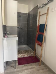 Koupelna v ubytování aux pieds des vignobles ardéchois logement de 40m2