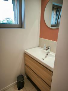 a bathroom with a sink and a mirror at La boite à coucou, Appartement pour 6 personnes, avec jardin , vue mer, à 400 m de la plage pors mabo in Trébeurden +9 photos