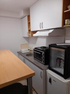 Kuchyň nebo kuchyňský kout v ubytování Apartman studio T&S