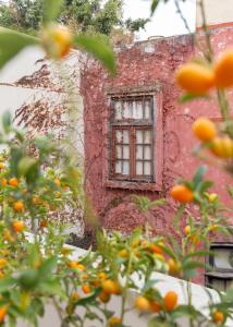 Vườn quanh Casa Chic Palermo Soho +20 ảnh