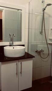 a bathroom with a sink and a shower at Holland Lodge Paramaribo in Paramaribo