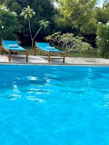 Bazén v ubytování Embe Lodge nebo v jeho okolí