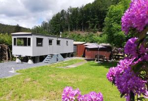 a tiny house in a yard with purple flowers at Le Beau Rivage - M24 in Trois-Ponts