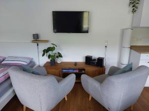 ein Wohnzimmer mit 2 Stühlen und einem TV an der Wand in der Unterkunft Ferienwohnung Moselliebe in Lehmen + 30 Fotos