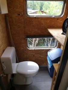 a small bathroom with a toilet and a window at Le Beau Rivage - M24 in Trois-Ponts