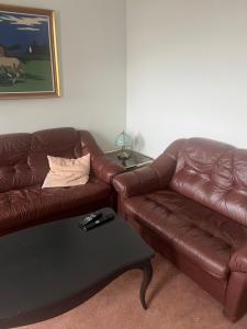 Ruang duduk di Eidavellir Apartments and Rooms