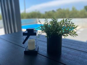 Φωτογραφία από το άλμπουμ του Villa Davide σε Petrovija