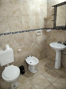 une salle de bains avec toilettes et lavabo dans l'établissement Departamentos Catamarca, à San Fernando del Valle de Catamarca