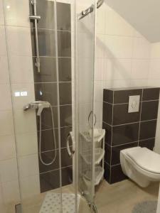 a bathroom with a glass shower with a toilet at Apartament i pokoje na Sosnowej in Ostrowo