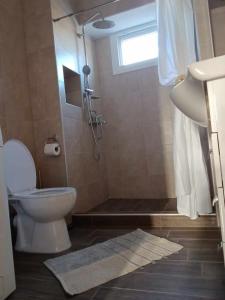 un bagno con wc e doccia con finestra di Yellow House a Eleftheroúpolis Altre 8 foto