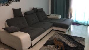 a couch and a cat in a living room at Magic Paradisus guest in Caniço
