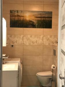 a bathroom with a toilet and a painting on the wall at Kosmos nad morzem in Dziwnówek +20 photos