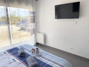 TV a/nebo společenská místnost v ubytování La Villa KEROMER