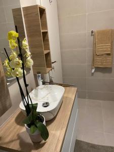 Ένα μπάνιο στο Apartman Megy
