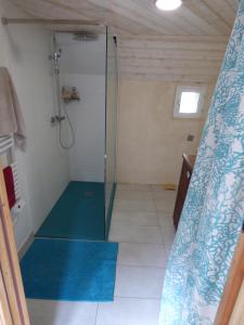 a shower with a glass door in a bathroom at Maison de charme à 500m du port in Paimpol