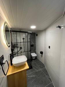 a bathroom with a sink and a toilet at Kaledome Eco Mountain Resort in Çamlıhemşin +63 photos