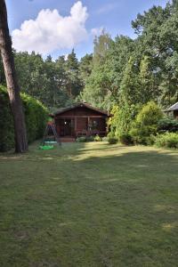 a yard with a house and a swing at SikorQa Domek nad jeziorem in Skrzeszew