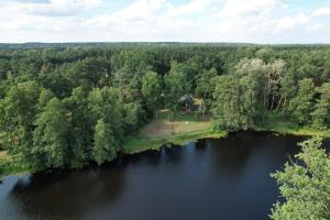 an aerial view of a river with trees at SikorQa Domek nad jeziorem in Skrzeszew +7 photos