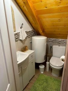 a bathroom with a toilet and a sink at PodRoom Irena in Zmajevac