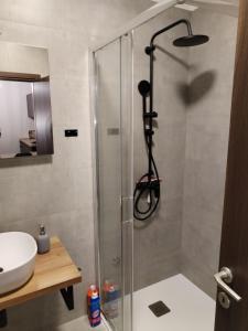 a shower with a glass door in a bathroom at Studio apartman Ivor in Bale