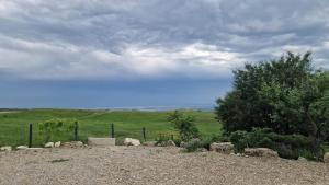 Un campo con una valla y un árbol y césped. en La Marginea Pădurii, en Marginea Pădurii