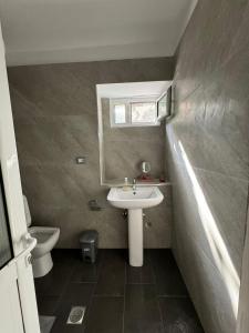 a bathroom with a sink and a toilet at Isaraj Guest House in Gjirokastër