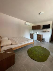 a bedroom with a bed and a green rug at Apartmani Morava 54 in Kočino Selo