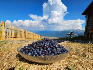 a bowl of blueberries sitting on the ground at Dušanov Konak in Andrijevica +7 photos
