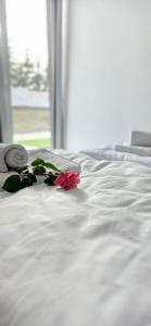 Galeriebild der Unterkunft Złote Sady Apartamenty na Mazurach z widokiem na jezioro in Mikołajki