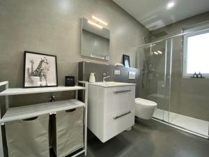 ein Badezimmer mit Toilette, Waschbecken und Dusche in der Unterkunft Little Penthouse in Waldbüttelbrunn