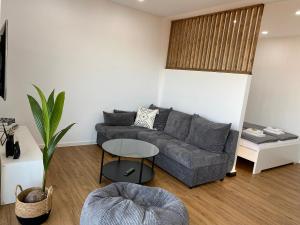 ein Wohnzimmer mit einer Couch und einem Tisch in der Unterkunft Little Penthouse in Waldbüttelbrunn