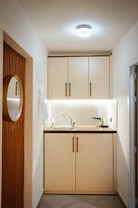 Η κουζίνα ή μικρή κουζίνα στο Duam Apartments