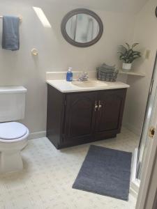a bathroom with a sink and a toilet and a mirror at Apartamento en Milwaukee cerca del centro 8 mins from Milwaukee downtown in Milwaukee +23 photos