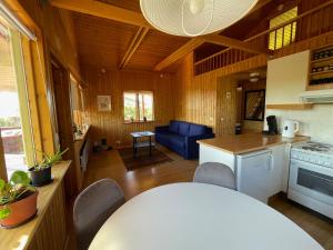 Küche/Küchenzeile in der Unterkunft Dreamy cabin with a garden