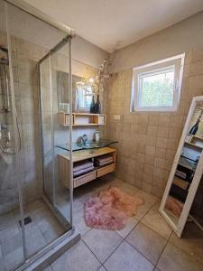 a bathroom with a shower and a glass shower stall at Holiday house with a swimming pool Stanici, Omis - 22998 in Omiš