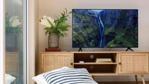 TV a/nebo společenská místnost v ubytování Hotel Trentham Villa 1