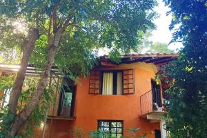 an orange house with a tree in front of it at Casa Sustentável de Terra! in Lençóis +24 photos