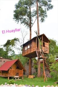 a tree house sitting on top of a tree at El Huayllar in Cusco