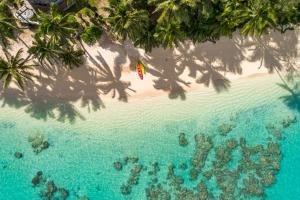 an overhead view of a beach with palm trees and a flag at Vaka Beach Cottage with AC Unlimited Wifi in Rarotonga +6 photos