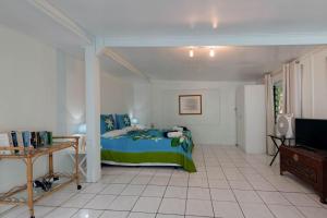 a bedroom with a bed and a tv in it at Vaka Beach Cottage with AC Unlimited Wifi in Rarotonga
