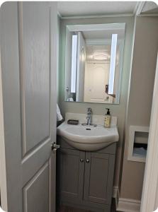 a bathroom with a sink and a mirror at Pool House in St. Catharines