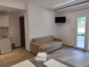 a living room with a couch and a tv at Ariadne's garden in Astris