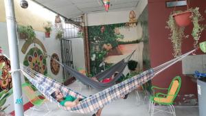 Gallery image of Urcututo House Iquitos in Iquitos