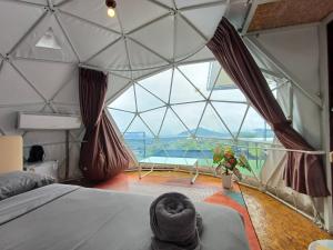 Ban Huai PhaiにあるChill & View ชิววิว เขาค้อの大きなガラスのドームとベッドが備わる客室です。