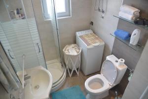 e bagno con servizi igienici, doccia e lavandino. di Apartment Danica a Belgrado