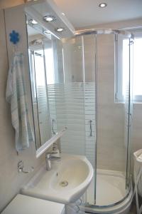 bagno con doccia in vetro e lavandino di Apartment Danica a Belgrado